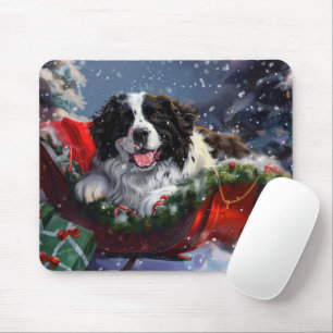 Newfoundlandshund Jul Festivitet Musmatta