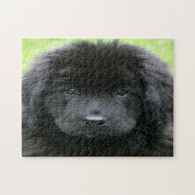 Newfoundlandshund. Pussel (Horisontell)