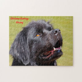 Newfoundlandshund. Pussel