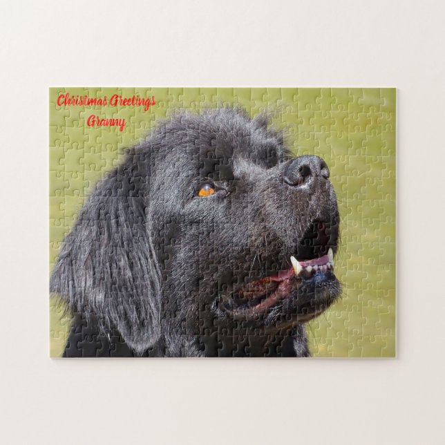 Newfoundlandshund. Pussel (Horisontell)