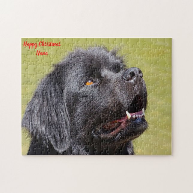 Newfoundlandshund. Pussel (Horisontell)