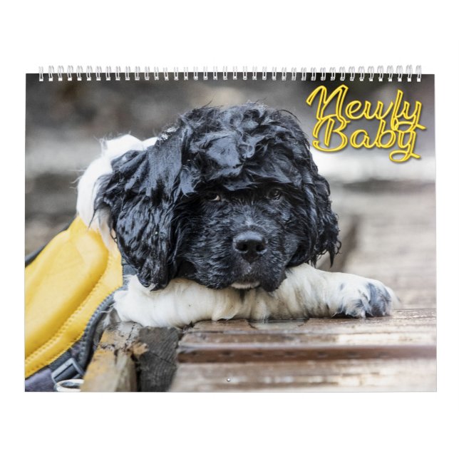 Newfy Baby Kalender (Omslag)