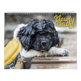 Newfy Bebis Kalender