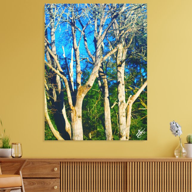 Newman Rd Whidbey Island Träd #1 Canvastryck (Insitu (Vardagsrum))