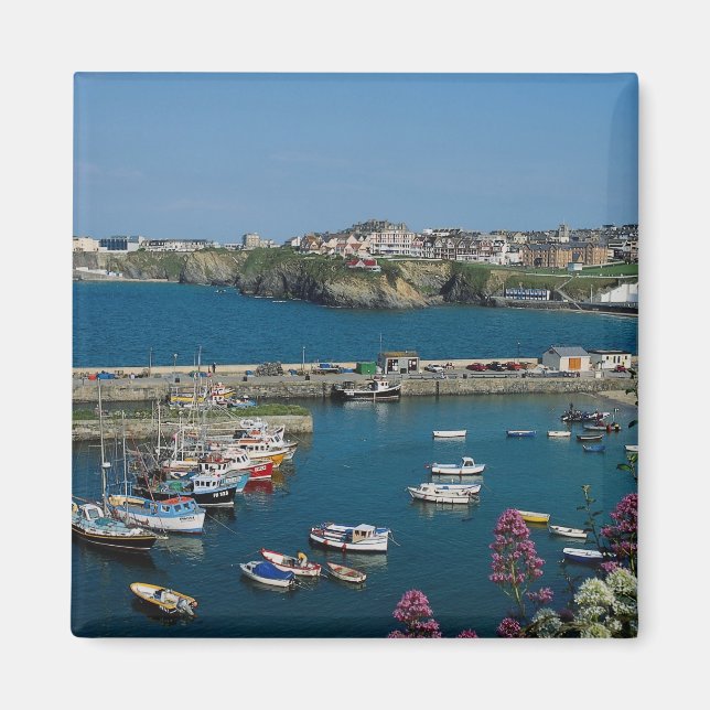 Newquay hamn, Cornwall, Förenade kungariket Magnet (Framsidan)