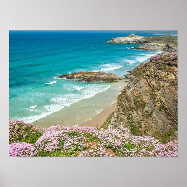 Newquay strand i North Cornwall vild - blomklippni Poster (Framsidan)