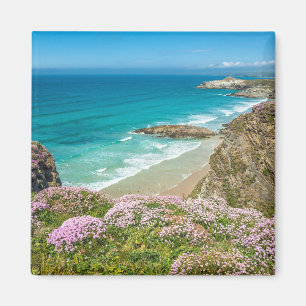 Newquay-stranden i vilden North Cornwall, blommor Magnet