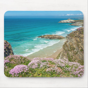 Newquay-stranden i vilden North Cornwall, blommor Musmatta