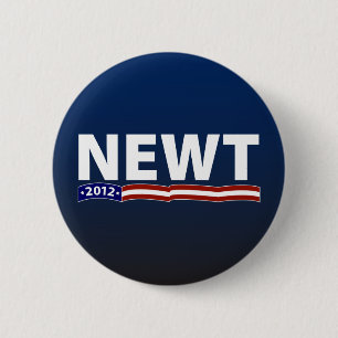 Newt 2012 knapp