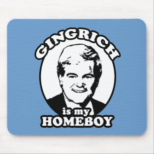 Newt Gingrich är min homeboy Musmatta