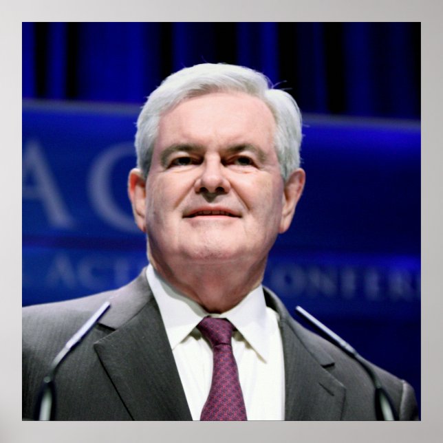 Newt Gingrich Poster (Framsidan)