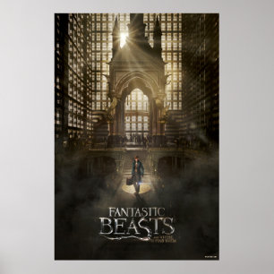 NEWT SCAMANDER™ i MACUSA™ Headquarters Poster