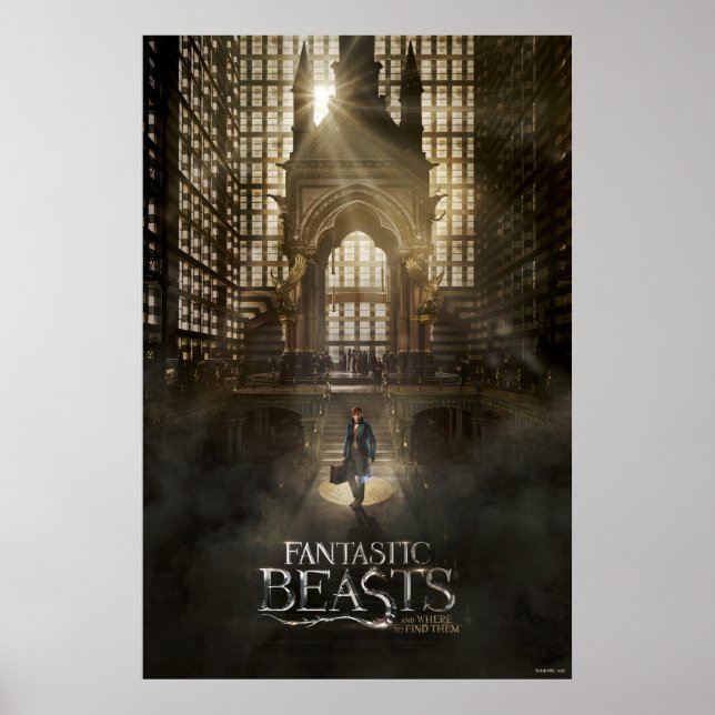 NEWT SCAMANDER™ i MACUSA™ Headquarters Poster (Framsidan)