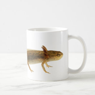 NewtLarvamugg Kaffemugg