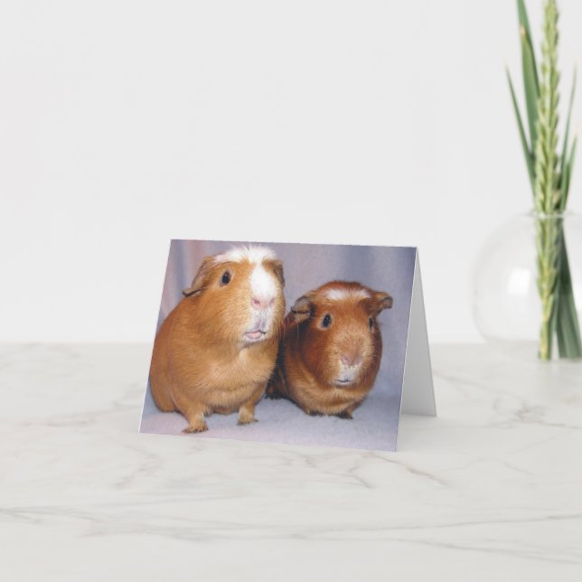 Newton och Skeeter Notecard Kort (Framsida)