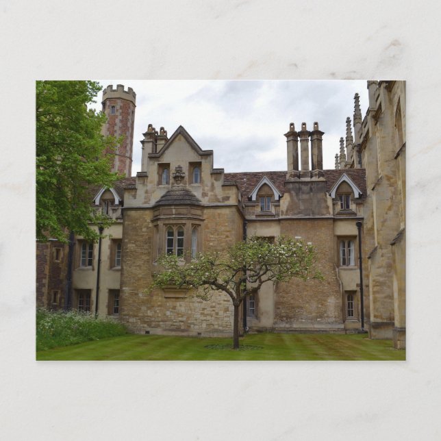 Newtons Apple Träd Cambridge-vykort Vykort (Framsida)