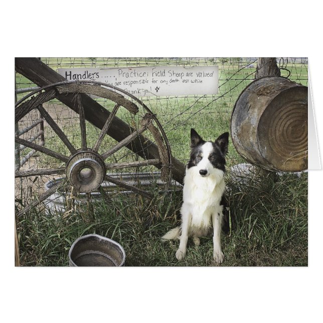 newtpraticefielddragonizer4x6 hälsningskort (Framsidan Horizontal)