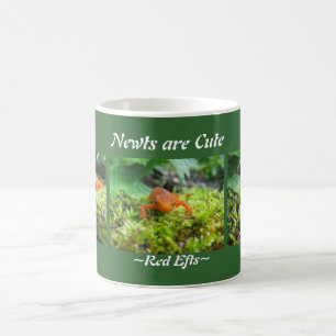 Newts är gulliga kaffemugg
