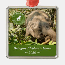 NFEF-kvadratiskt ornament