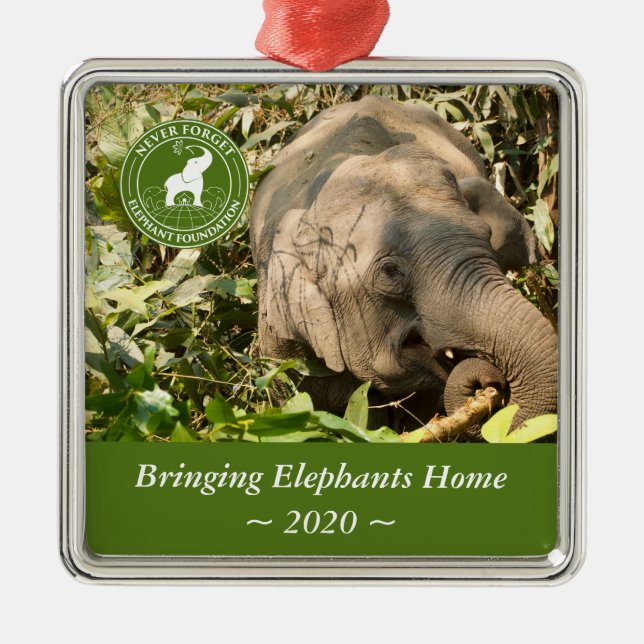 NFEF-kvadratiskt ornament (Framsidan)