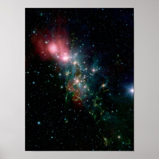 NGC 1333 Chaotiskt födelse av stjärnor Poster (Framsidan)