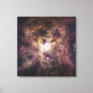 NGC 2070, tarantelnebulaen Canvastryck