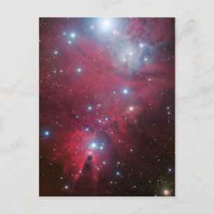 NGC 2264 och julgranen samla i en klunga Helg Vykort