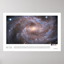 NGC 2525 (Hubble Space Telescope) Poster