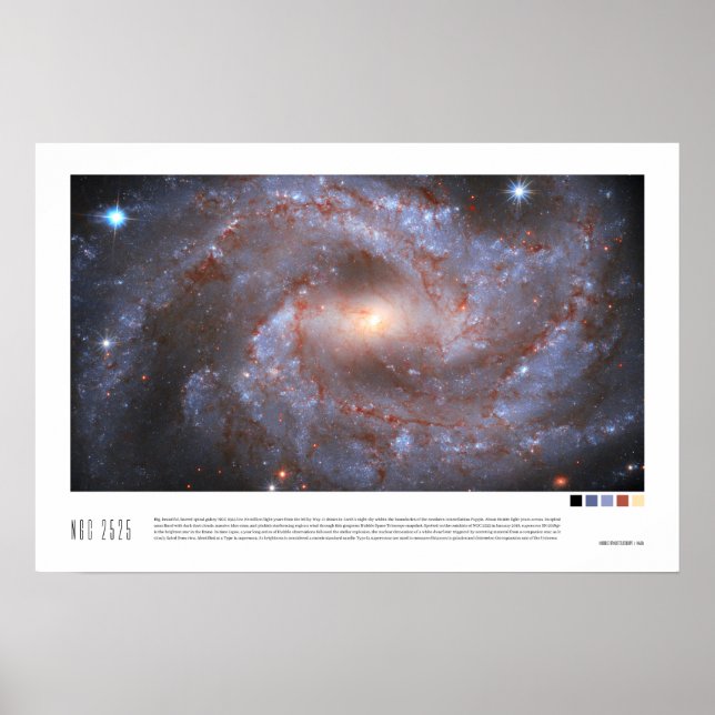 NGC 2525 (Hubble Space Telescope) Poster (Framsidan)