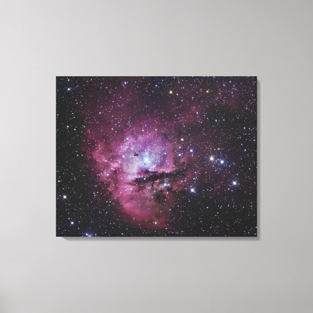 NGC 281, Emission Nebula och Open Cluster i Cassi Canvastryck (Framsida)