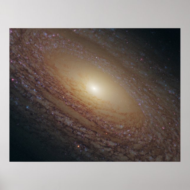 NGC 2841 Spiral Galaxy Poster (Framsidan)
