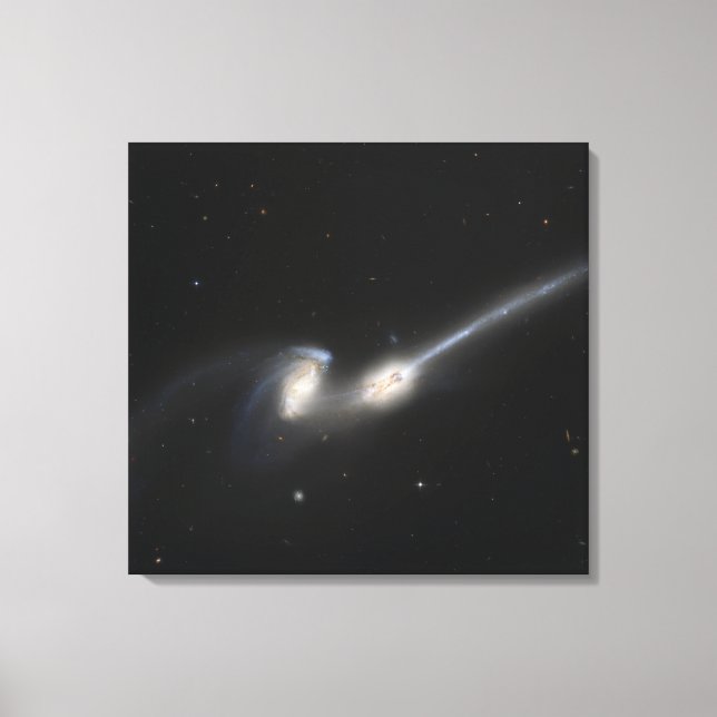 NGC 4676, även känd som Mice Galaxies Canvastryck (Framsida)