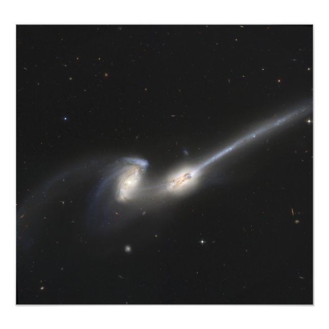 NGC 4676, även känd som Mice Galaxies Fototryck (Framsidan)