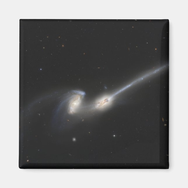 NGC 4676, även känd som Mice Galaxies Magnet (Framsidan)