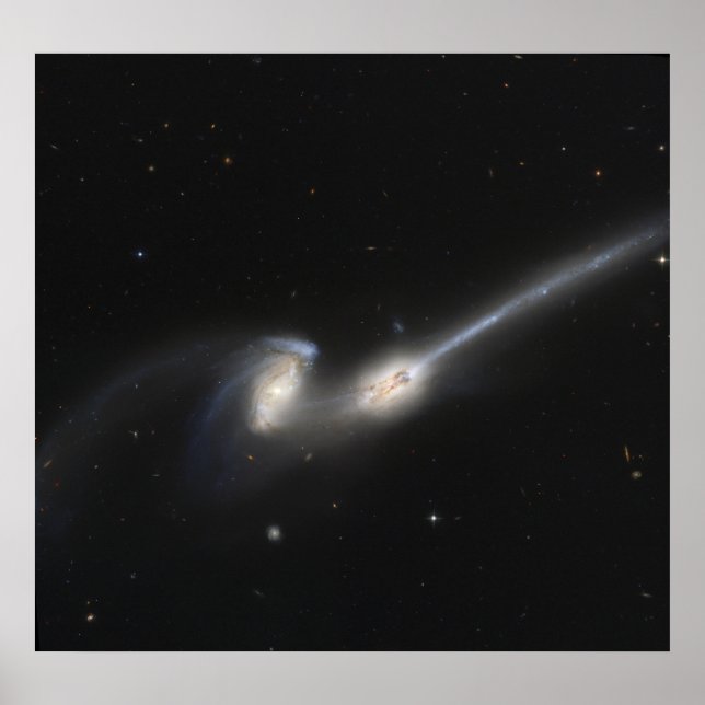 NGC 4676, även känd som Mice Galaxies Poster (Framsidan)