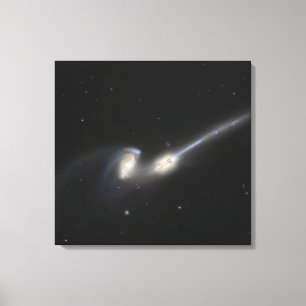 NGC 4676, också som är bekant som musgalaxerna Canvastryck