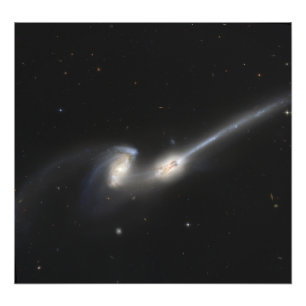 NGC 4676, också som är bekant som musgalaxerna Fototryck