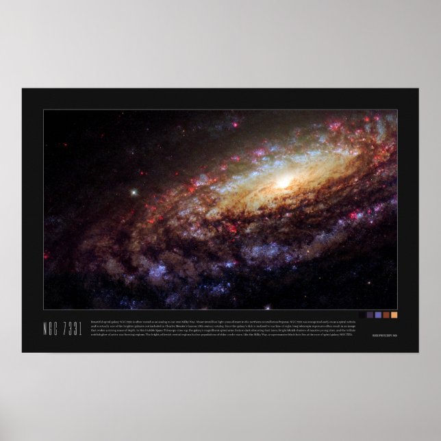 NGC 7331 (Caldwell 30) Poster (Framsidan)