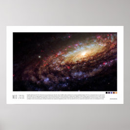 NGC 7331 (Caldwell 30) Poster