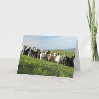 NGIP-hälsningskort Kort