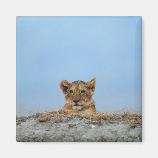 Ngorongoro Crater, Tanzania Magnet (Framsidan)