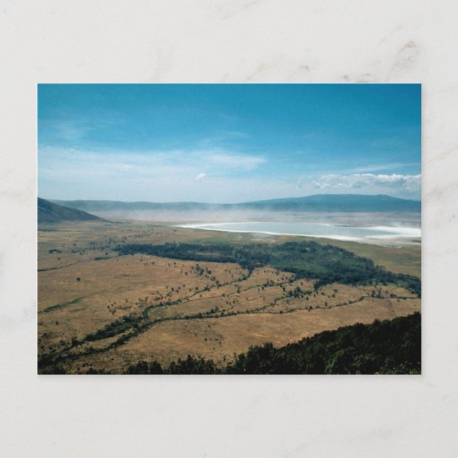 Ngorongoro Crater Vykort (Framsida)