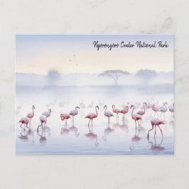Ngorongoro Tanzania Flamingos Vykort