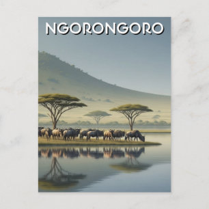 Ngorongoro Tanzania Gnuer Vykort