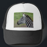 Ngorongoro Zebra Close-Up Keps<br><div class="desc">En häpnadsväckande närliggande profil av majestätisk vuxen zebra-bete i det stora Ngorongoro Crater. Det invecklade svarta och vita rand fångas perfekt i den här bilden och visar hur vacker naturen är i ett av Afrikans mest ikoniska landskap.</div>