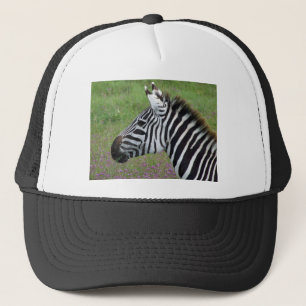 Ngorongoro Zebra Close-Up Keps