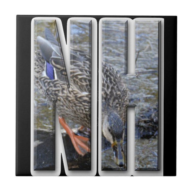 NH NEW HAMPSHIRE KAKELPLATTA (Framsidan)