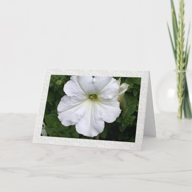 Ni Petunias tankar Kort (Framsida)
