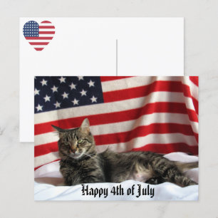 Nia Katten firar amerikanska nationaldagen Vykort
