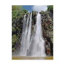 Niagara faller,Reunion